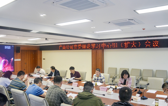 广南公司召开党委理论学习中心组（扩大）会议(图1)