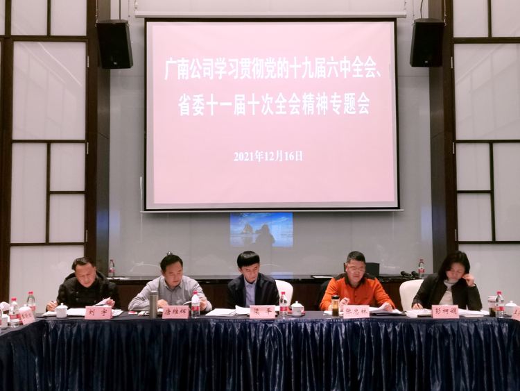 广南公司召开学习贯彻党的十九届六中全会和省委十一届十次全会精神专题会.jpg