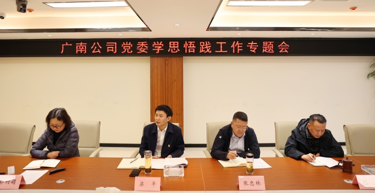 广南公司党委召开学思悟践工作专题会2.JPG