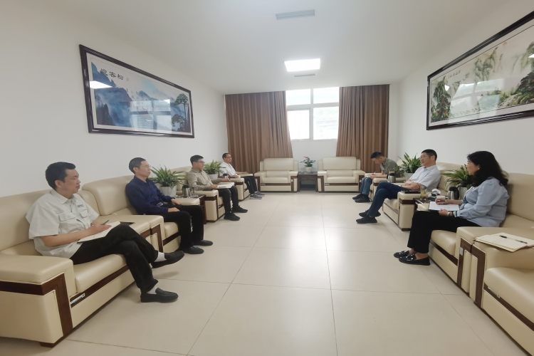 广南公司与国网苍溪县供电公司召开用电工作座谈会.jpg