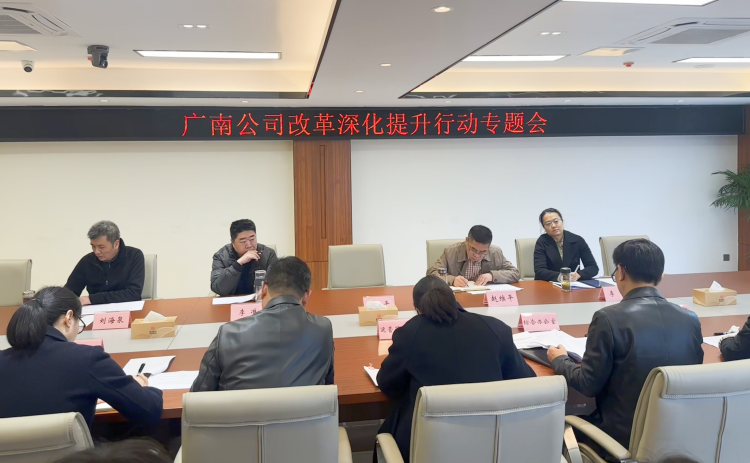 广南公司召开改革深化提升行动专题会