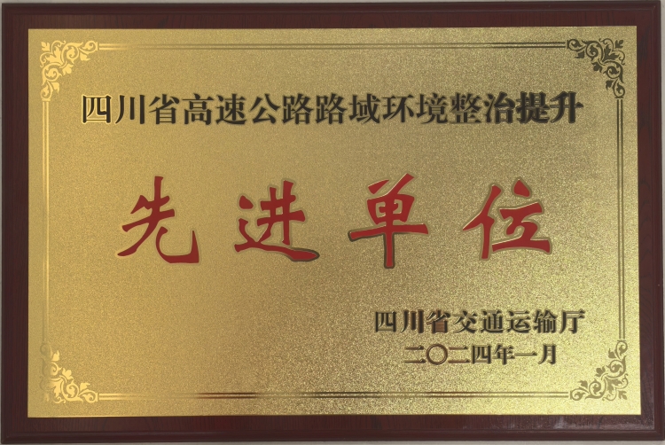 四川省交通运输厅路域环境整治提升先进单位.jpg