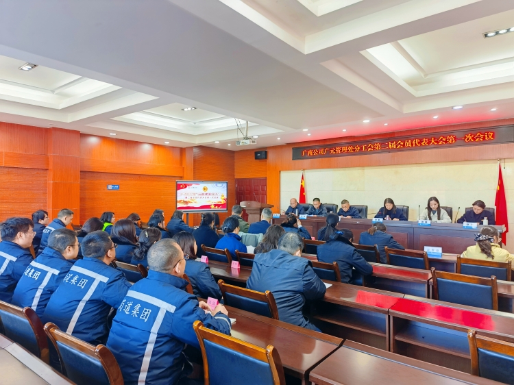 广元分工会二届一次会议.jpg