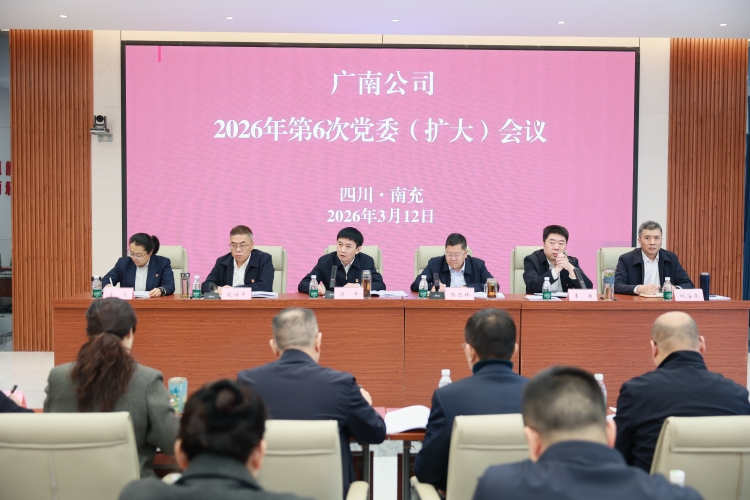 广南公司召开党委（扩大）会议　全面动员部署开展树立和践行正确政绩观学习教育